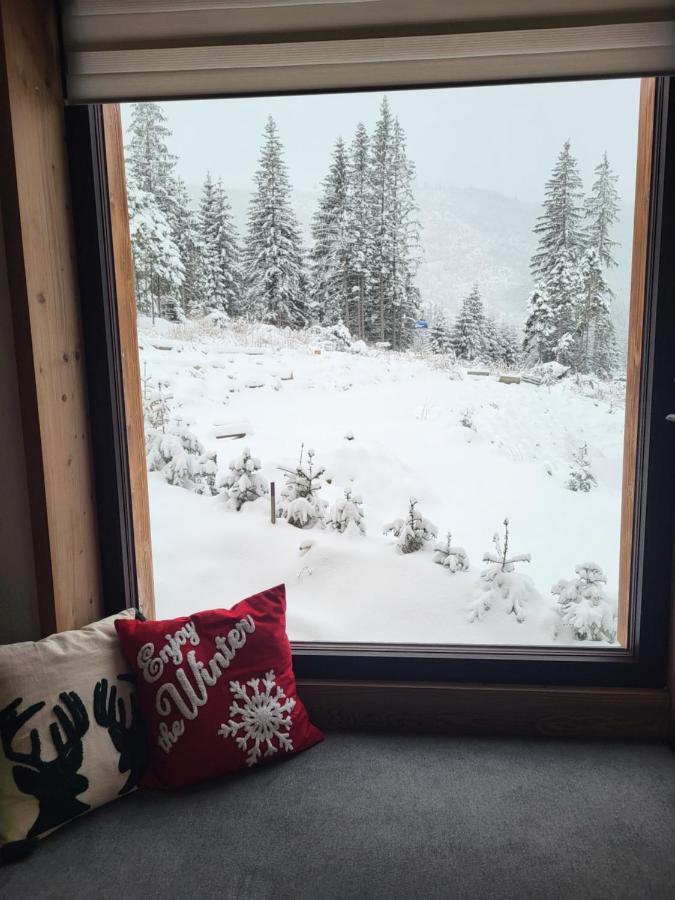 Hillview Jasna Chalet Demänovská Dolina Exterior foto